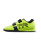 Fl. Yellow